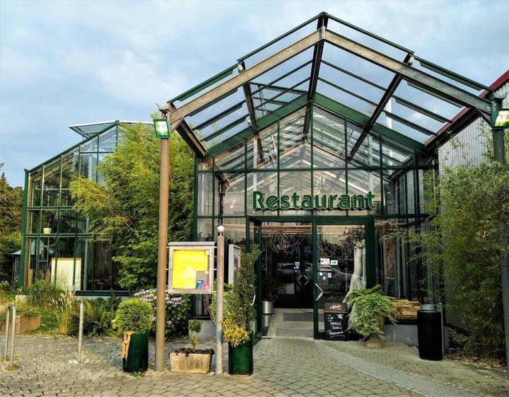 Bambusgarten